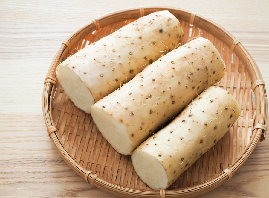 日本の食文化に根ざした「ヤマイモ」